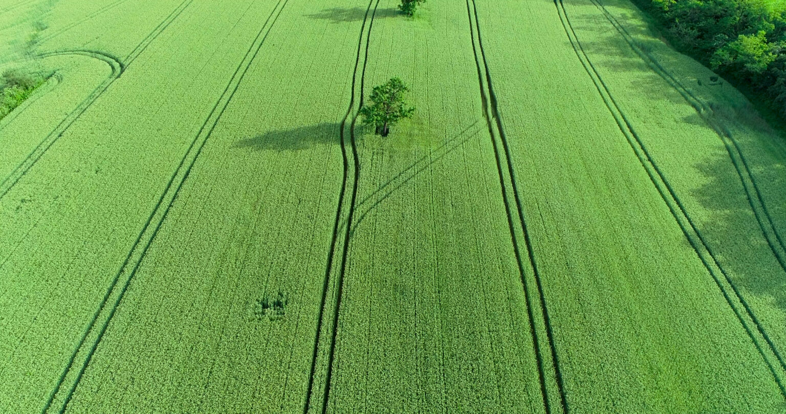 precision agriculture